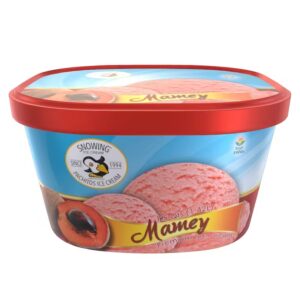 Mamey ice cream container from Pachitos Ice Cream