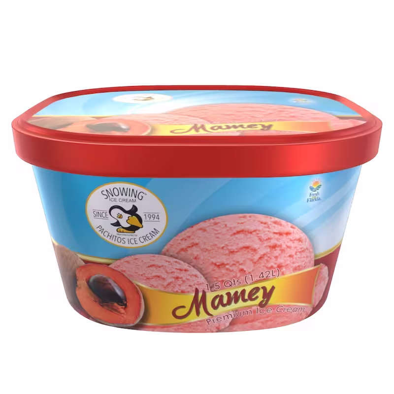 Mamey ice cream container from Pachitos Ice Cream